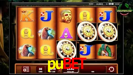 Explorando a Categoria de Eventos em Apostas na pubet